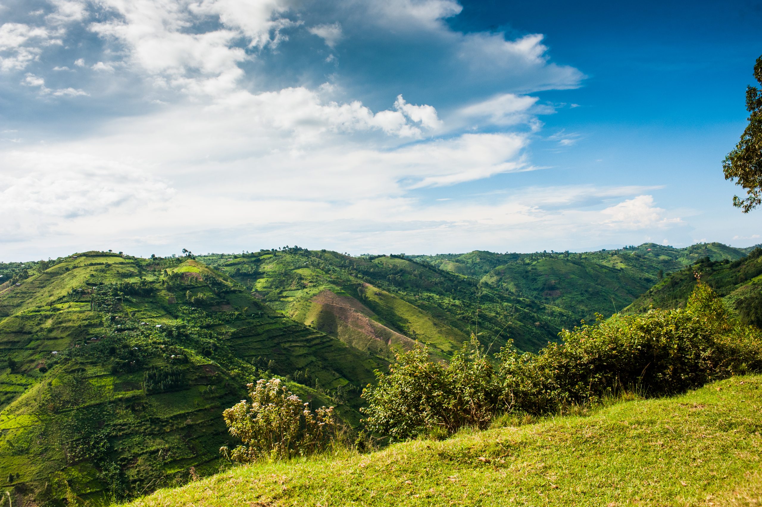 Securing Land And Forest Rights Of Local Communities And Indigenous