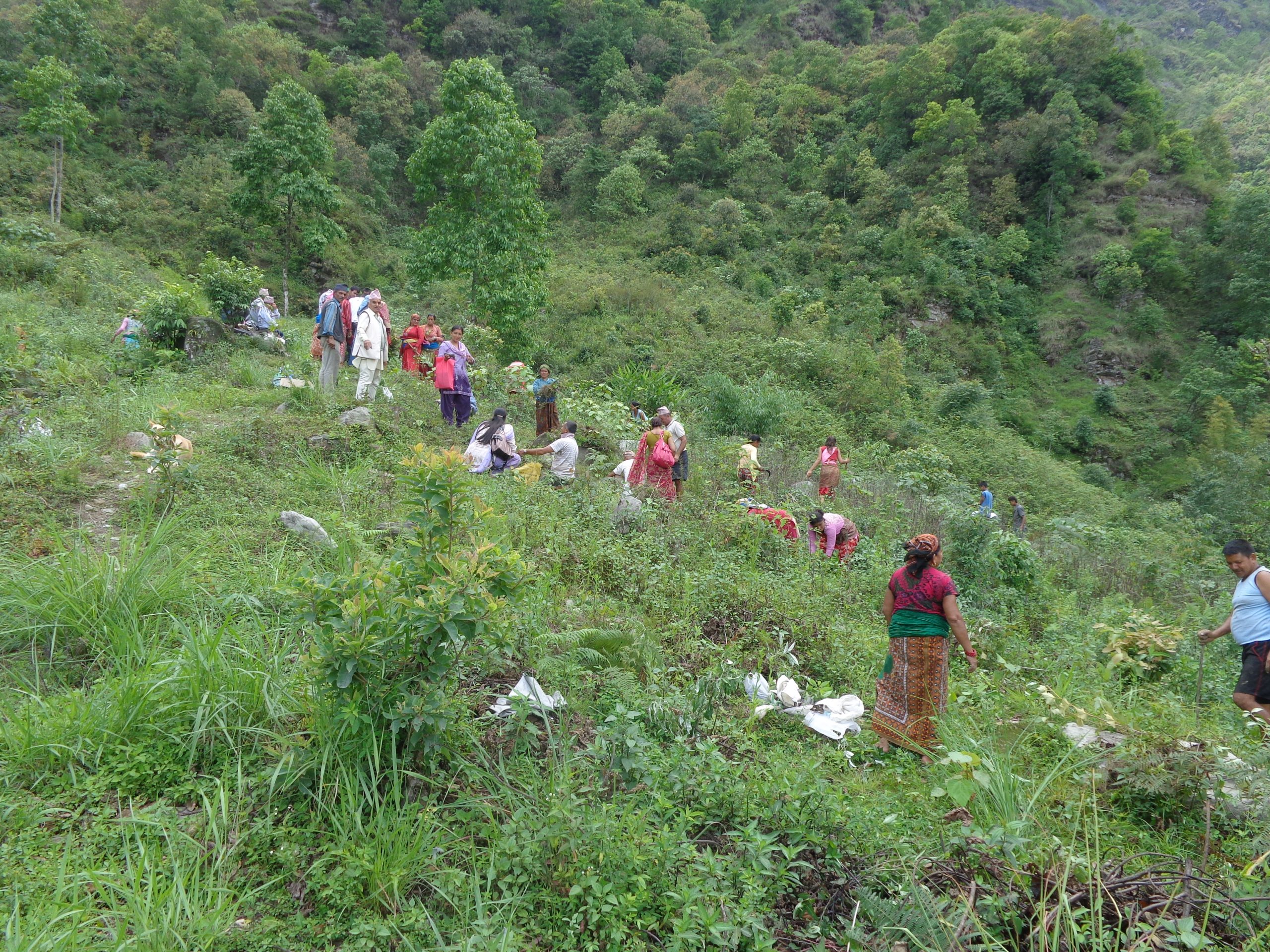 Securing Land And Forest Rights Of Local Communities And Indigenous