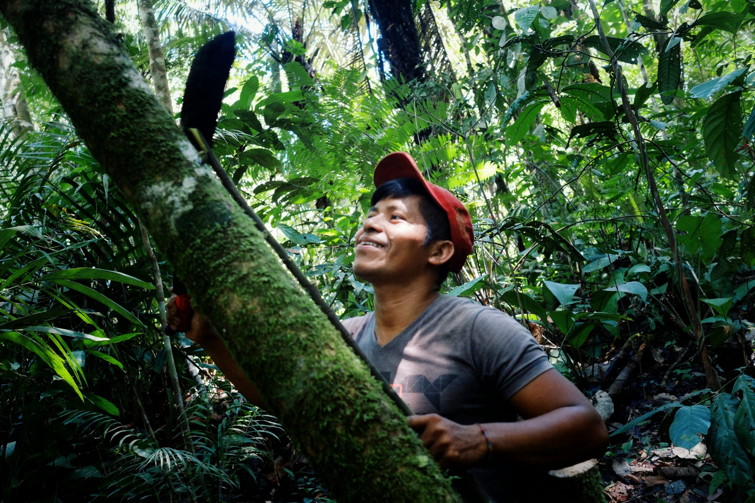 Unveiling the Indigenous Tapestry: Peoples of the Temperate Forest