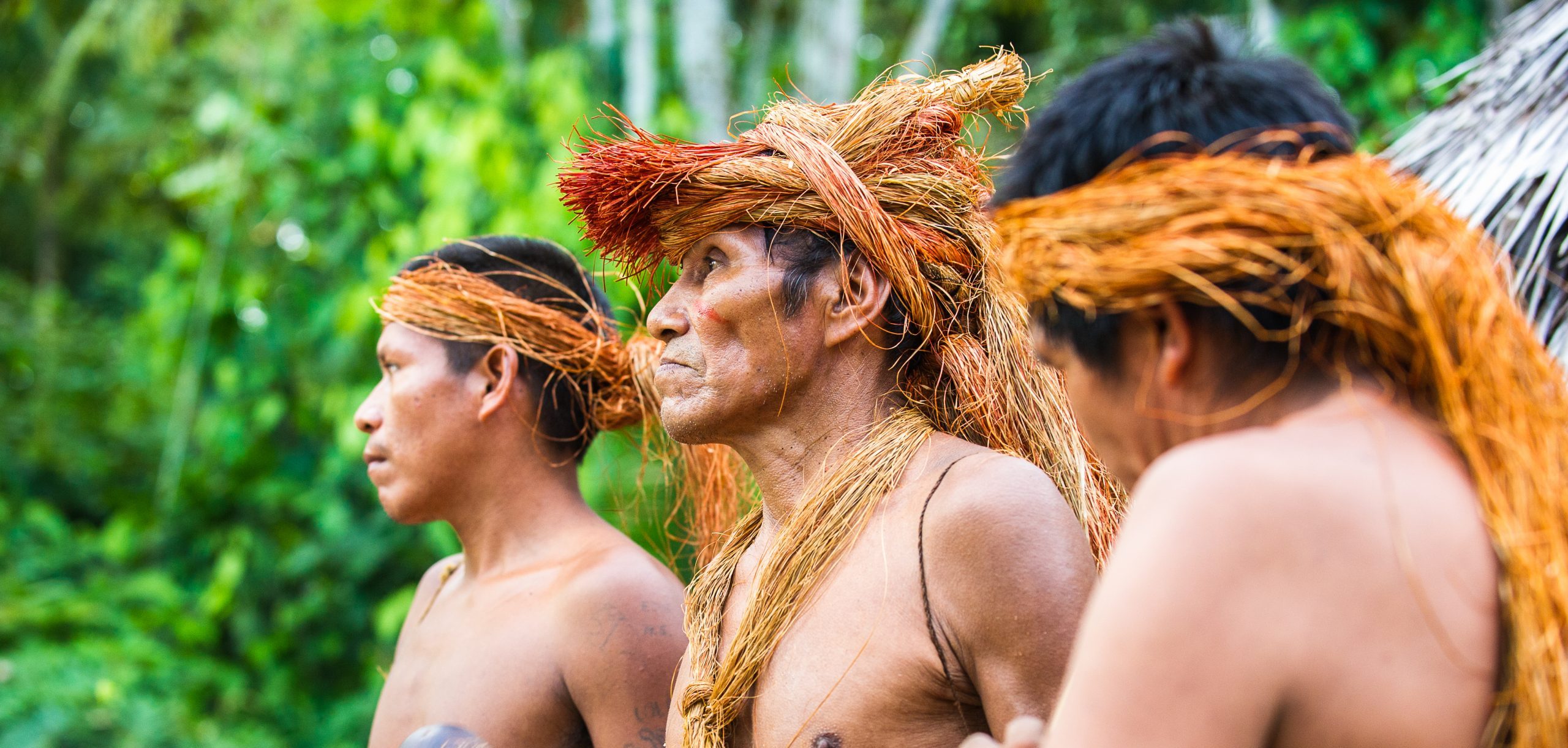 Indigenous Forest Examples