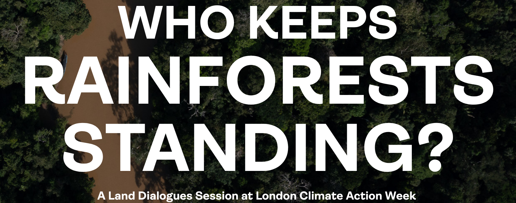 Who keeps rainforest standing?